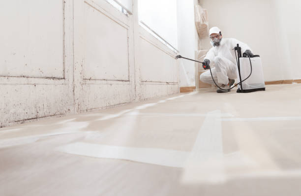 24/7 Emergency Basement Mold Removal experts in Leesburg, VA