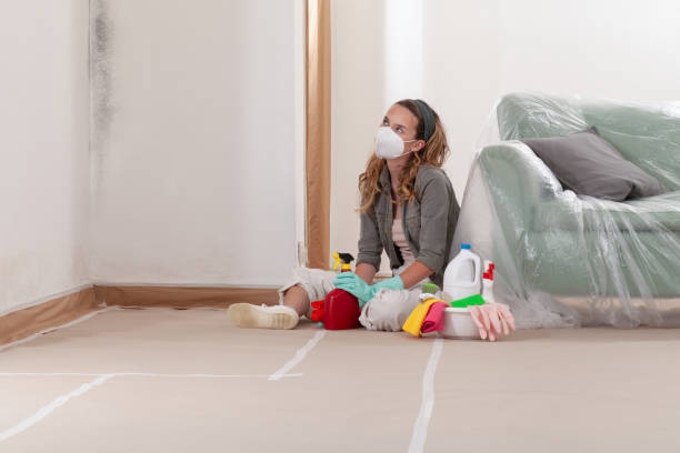 Reliable Basement Mold Removal contractor in Leesburg, VA by WQB Mold Removal